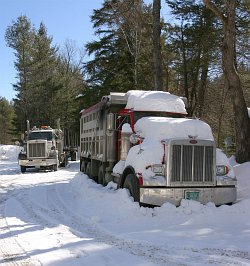 Trucks in Snow