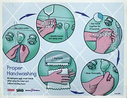 Anleitung zum H�ndewaschen